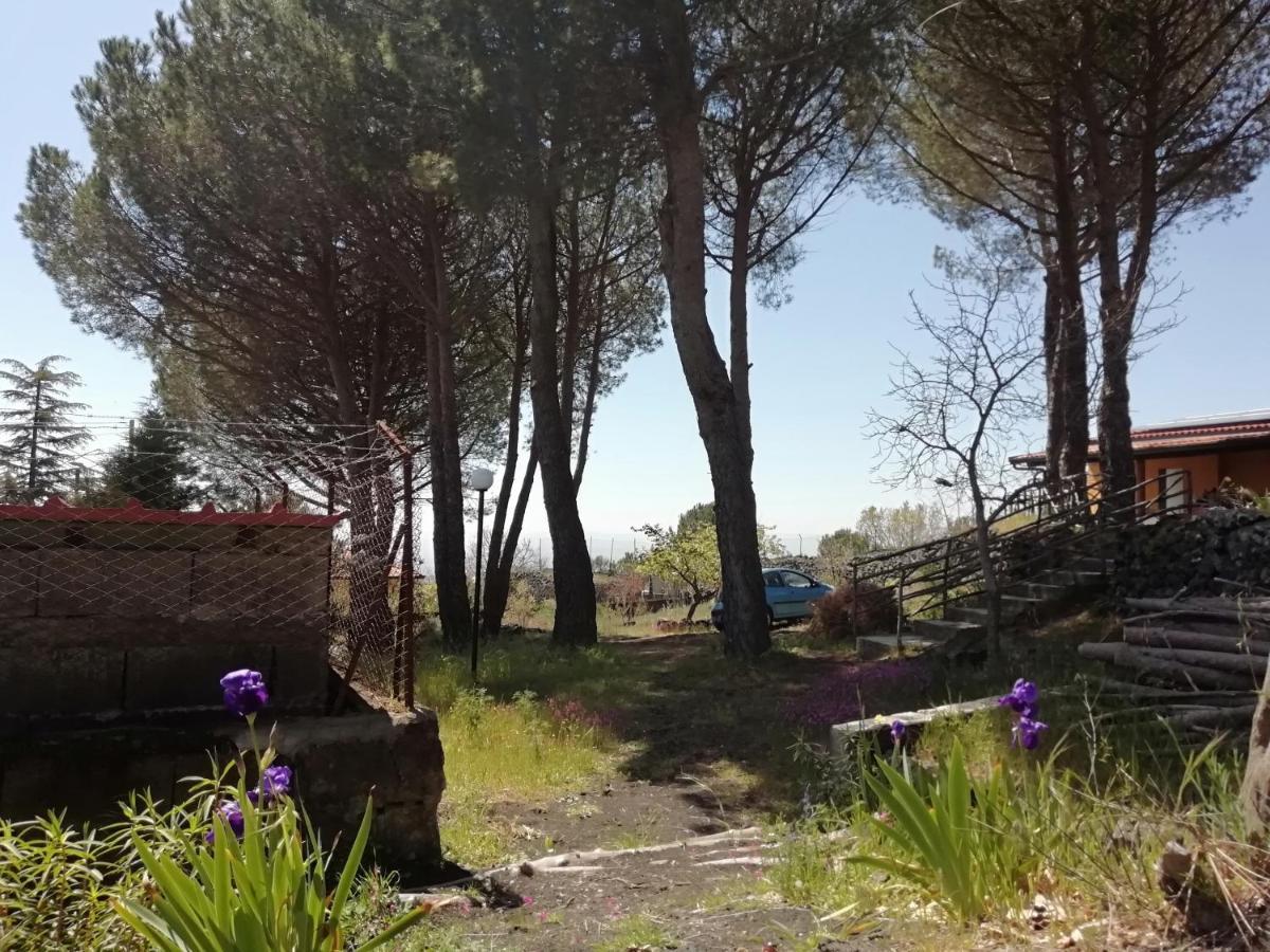 Etna Country Home Nicolosi Extérieur photo