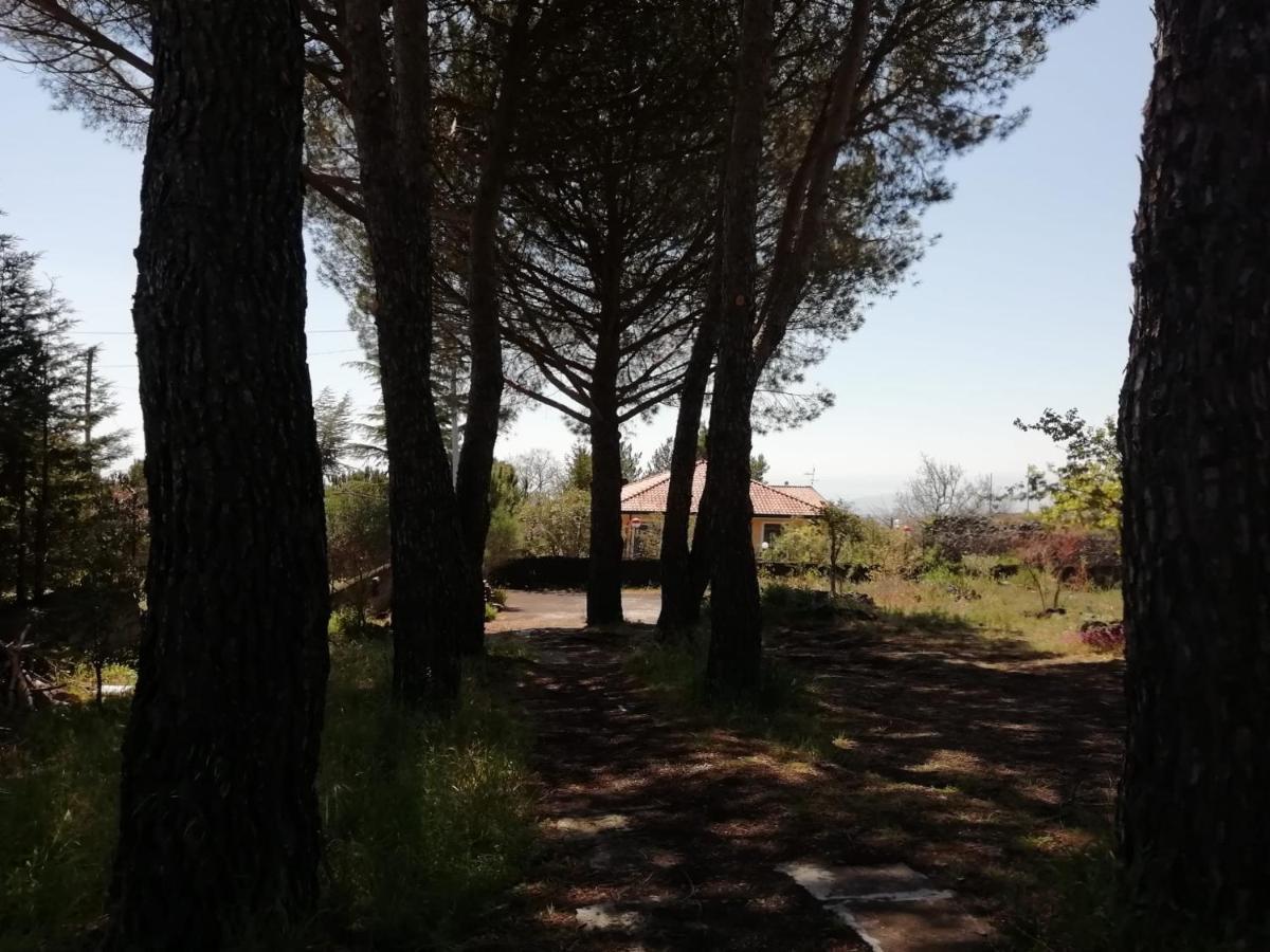 Etna Country Home Nicolosi Extérieur photo
