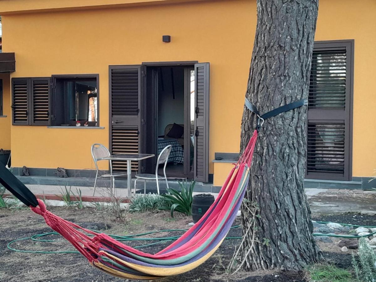 Etna Country Home Nicolosi Extérieur photo