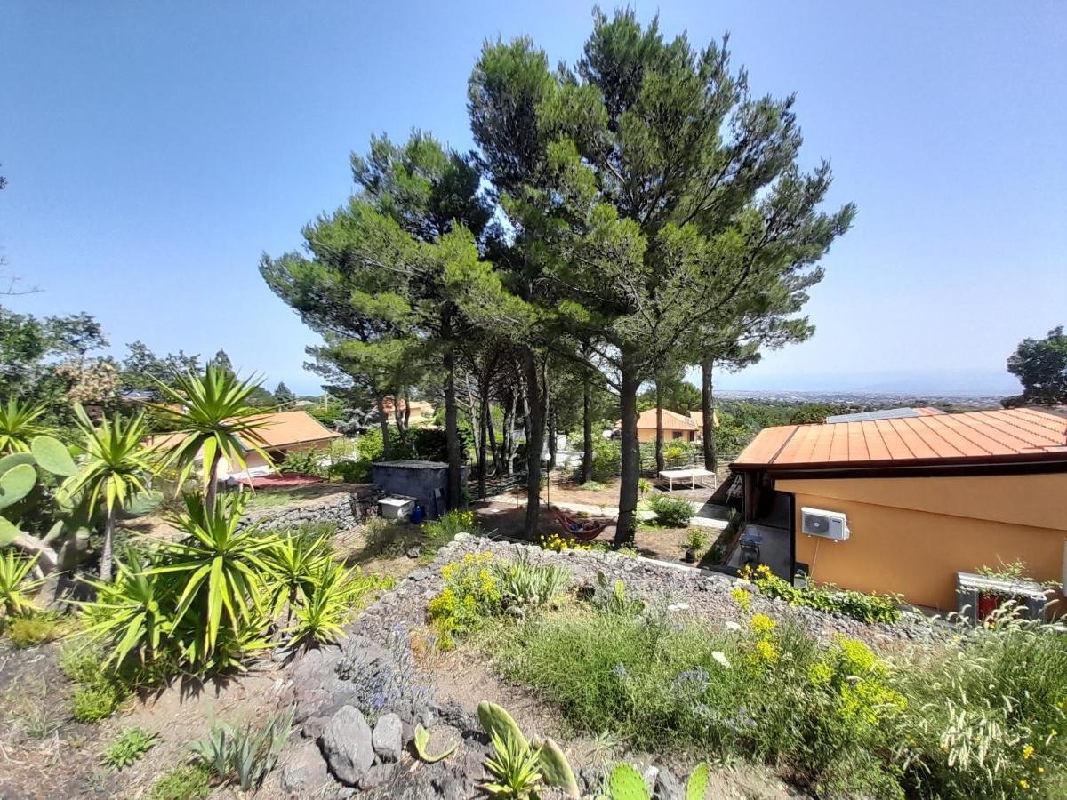 Etna Country Home Nicolosi Extérieur photo
