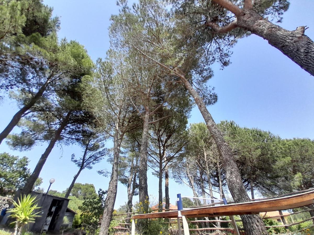 Etna Country Home Nicolosi Extérieur photo